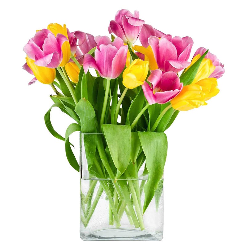 CYS EXCEL Glass Book Vase (H:10" Open:7"x2") Round Edge Oval Flower Vase Rectangular Wedding Centerpiece - Image 3